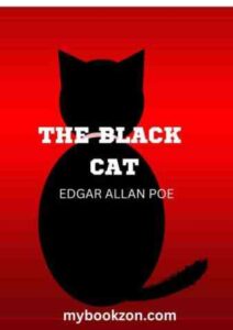 the black cat summary and analysis